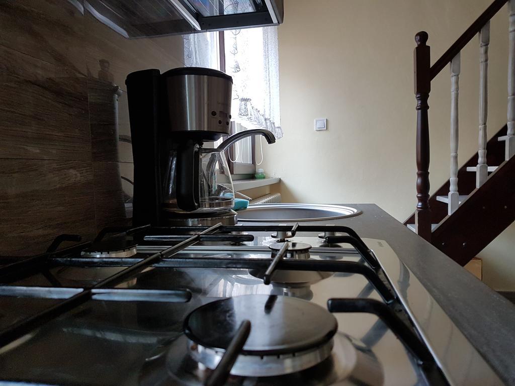 House Apartment Minerilor คลูจ-นาโปกา ภายนอก รูปภาพ