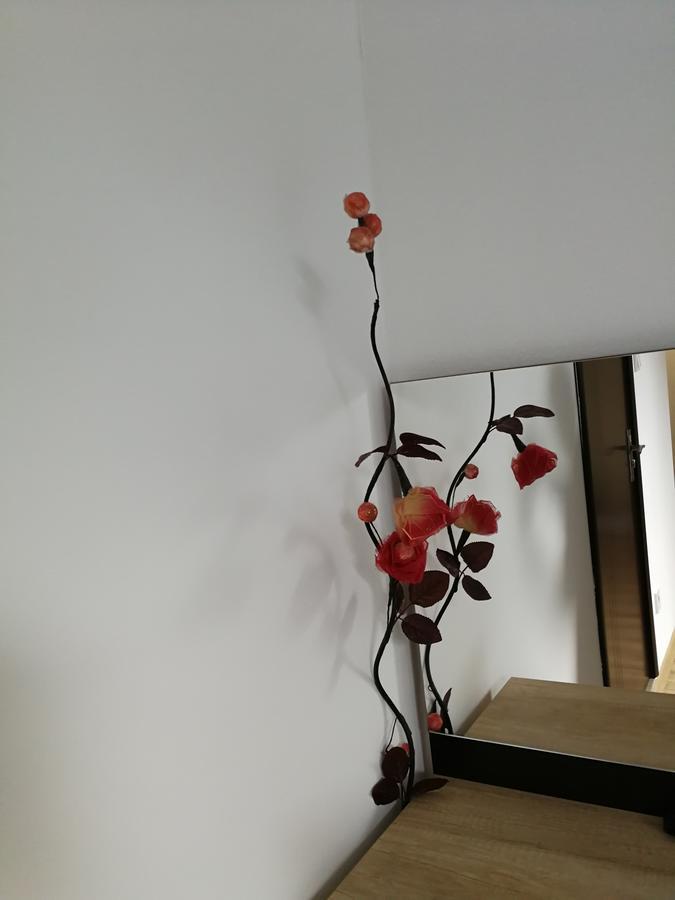 House Apartment Minerilor คลูจ-นาโปกา ภายนอก รูปภาพ