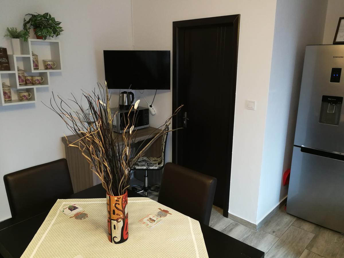 House Apartment Minerilor คลูจ-นาโปกา ภายนอก รูปภาพ