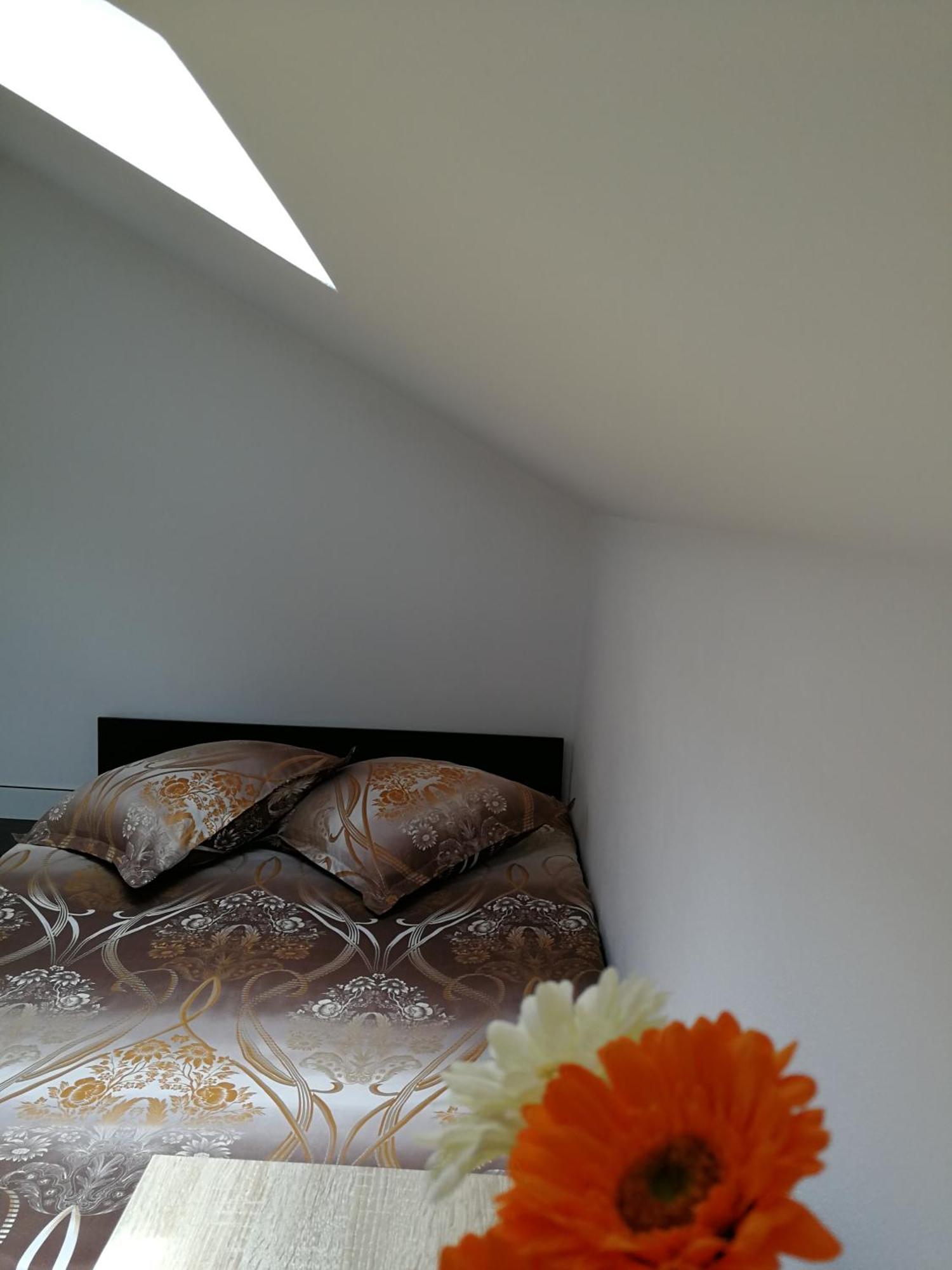 House Apartment Minerilor คลูจ-นาโปกา ภายนอก รูปภาพ