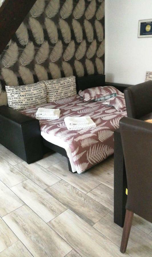 House Apartment Minerilor คลูจ-นาโปกา ภายนอก รูปภาพ